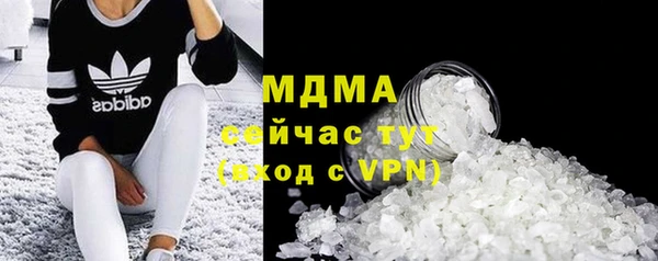 прущие грибы Абаза