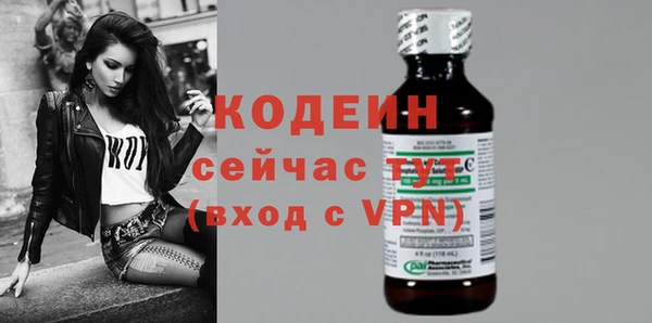 прущие грибы Абаза