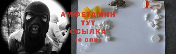 прущие грибы Абаза