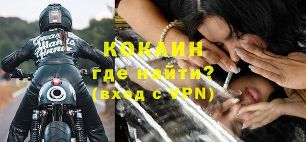 прущие грибы Абаза