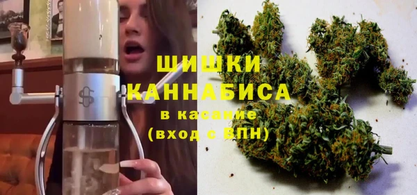 прущие грибы Абаза