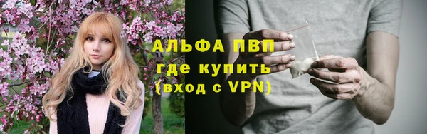 прущие грибы Абаза